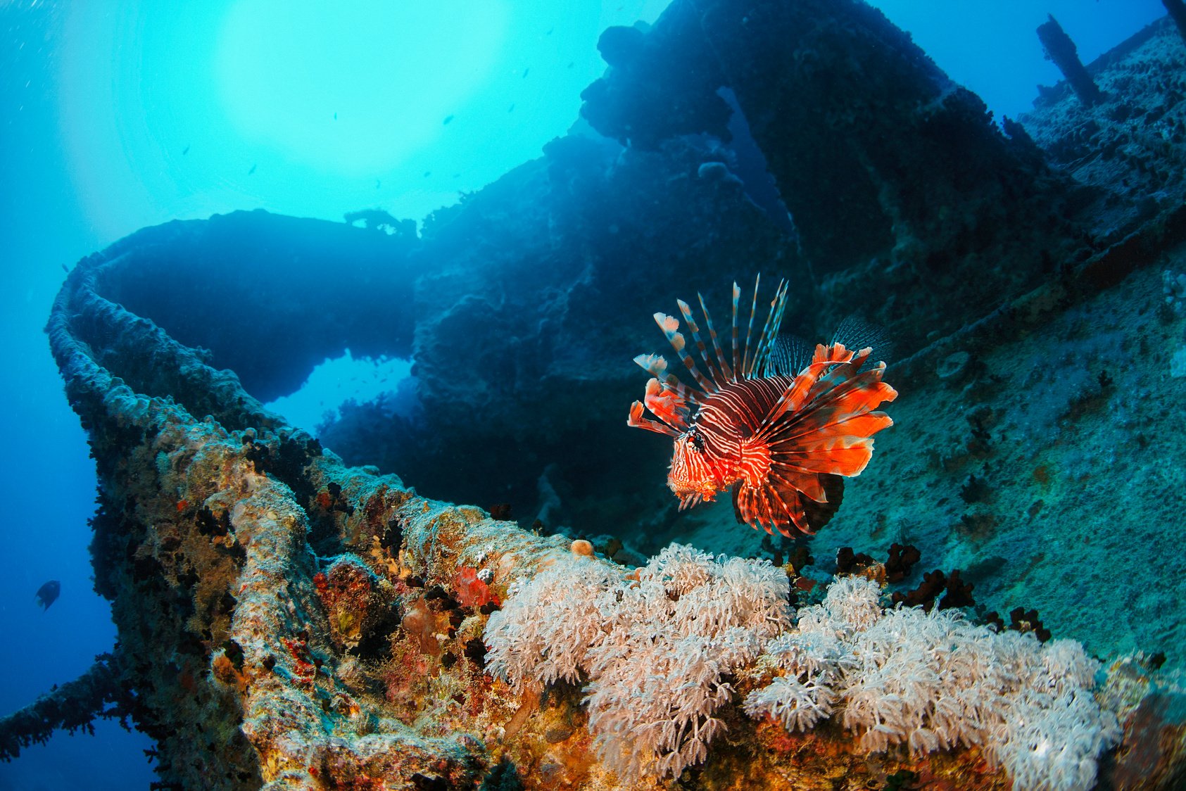 Wreck Diving - SS Thistlegorm